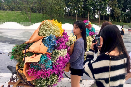 TP. Vinh cho phép bán hoa dạo tại 2 địa điểm 