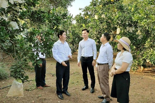 Nghĩa Đàn: Nỗ lực hoàn thành các mục tiêu phát triển 