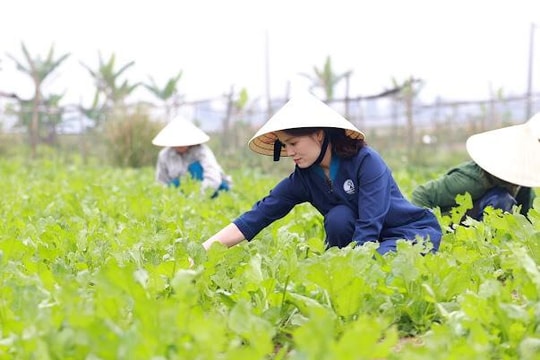 Xu hướng khởi nghiệp mới của start -up Nghệ An