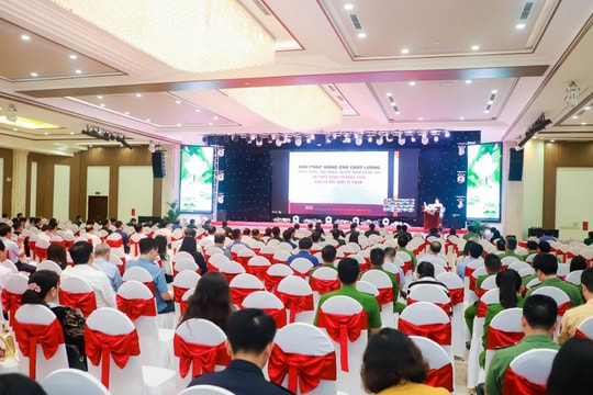 Những tình tiết tăng nặng kỷ luật tổ chức đảng, đảng viên vi phạm theo quy định mới của Bộ Chính trị