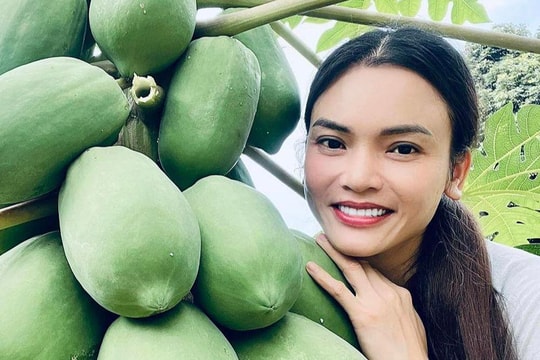 Biệt phủ rộng 8.000 m2 đầy hoa trái của ca sĩ Phạm Phương Thảo
