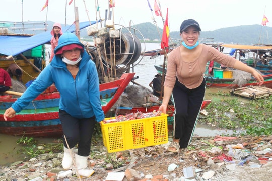 Nhộn nhịp mùa săn ghẹ ở Cửa Lò