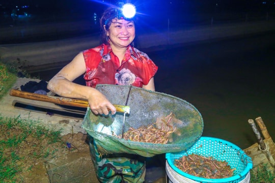 Người dân ven dòng Lam vớt 'lộc trời' kiếm tiền triệu mỗi đêm