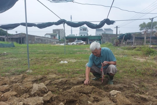 'Sống mòn' bên bãi rác Đông Vinh