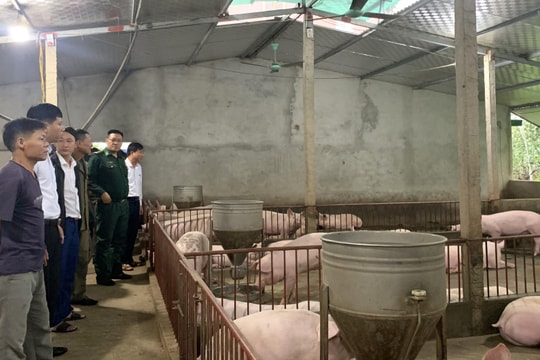 Nông dân Anh Sơn chăn nuôi theo hướng an toàn sinh học