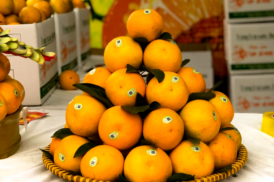 Sản phẩm OCOP Anh Sơn vào vụ Tết