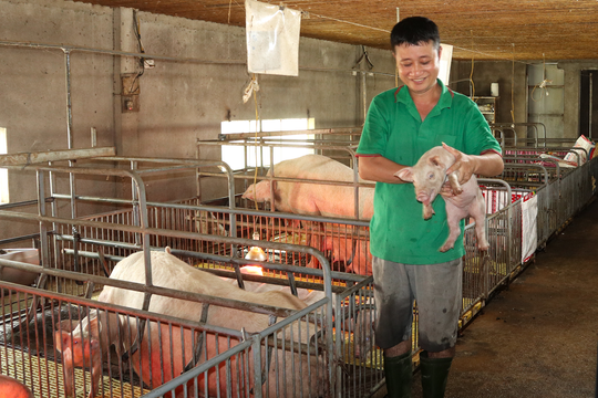 Ý tưởng xây dựng gia trại vệ tinh của ông chủ vùng biên