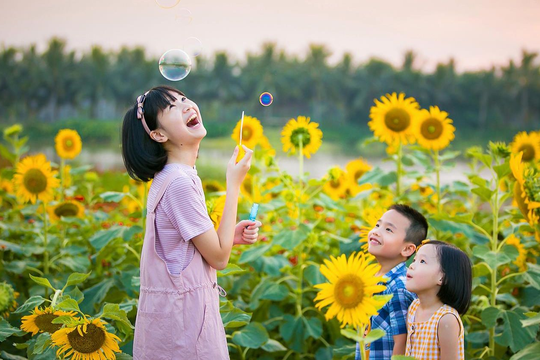 Nhà sáng lập Ecopark và hành trình kiến tạo những thành phố đáng sống, nơi con người được thiên nhiên yêu thương