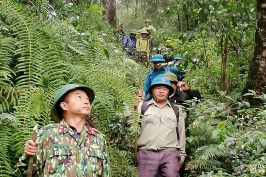 Ngậm ngùi nghề giữ rừng