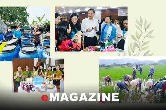 Nghệ An: Đồng hành, hỗ trợ phụ nữ phát triển kinh tế, làm chủ cuộc sống