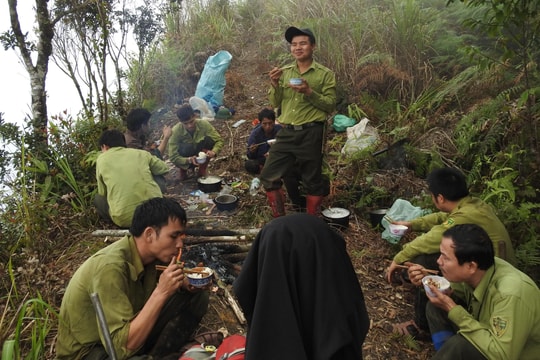 'Nguy cơ rừng không có người bảo vệ đã hiện hữu trước mắt'