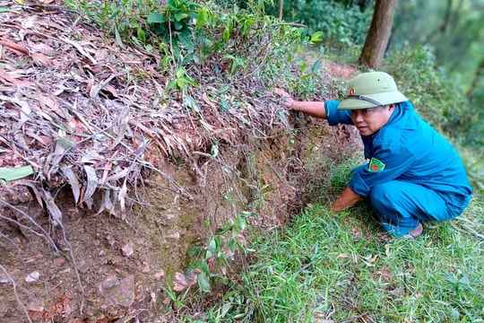 Khẩn trương chuẩn bị khắc phục điểm sạt lở đồi Thô Lô thuộc di tích cấp quốc gia ở Nghệ An