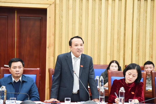 Đại biểu Hội đồng nhân dân tỉnh đề nghị làm rõ những vướng mắc liên quan đến công tác đấu thầu thuốc, vật tư y tế