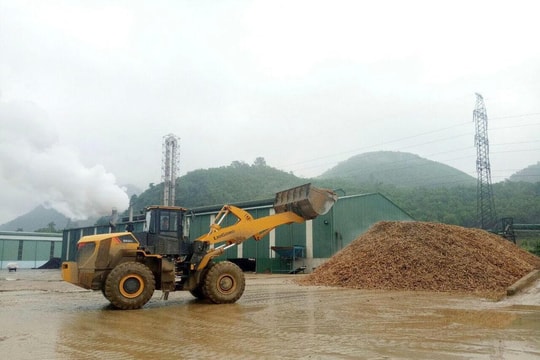 Chậm hoàn thuế VAT cho doanh nghiệp xuất khẩu tinh bột sắn, Cục Thuế nói gì?