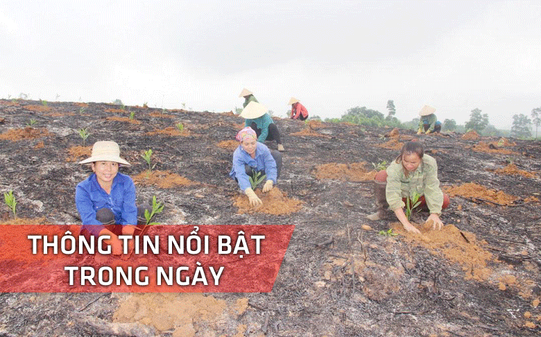 Nghệ An: Thông tin nổi bật ngày 11/12