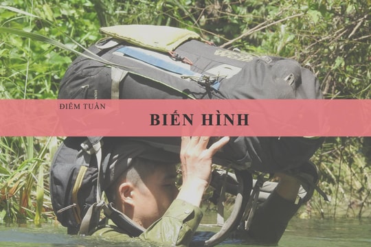  Biến hình