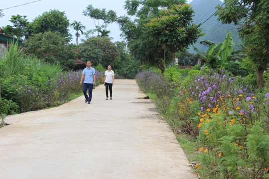 Tân Kỳ: Tỷ lệ cấp Giấy chứng nhận quyền sử dụng đất lần đầu đạt tỷ lệ thấp 