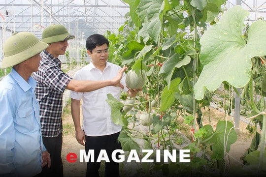 Phát triển kinh tế nông nghiệp ở Thanh Chương