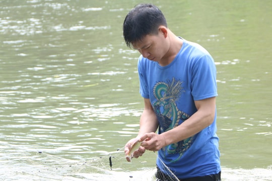 Đàn cá mát trở về...