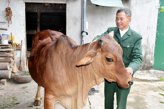 Những cựu binh còn sức còn cống hiến