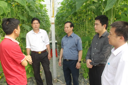 Bám cơ sở, gỡ khó khăn, đẩy nhanh phát triển