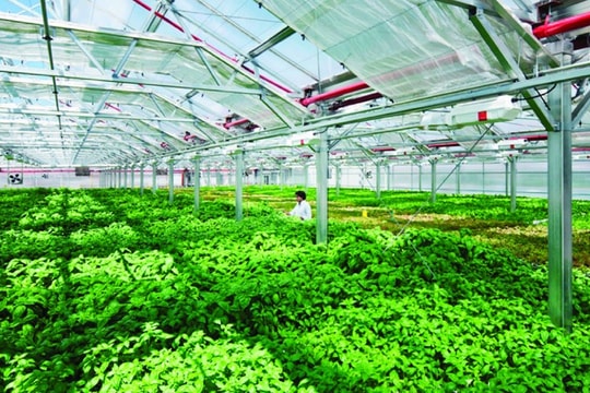 Công nghệ có thể giúp giải quyết những thách thức trong nông nghiệp như thế nào?