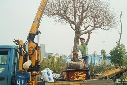 Những làng nghề 'nghe tên là thấy Tết' ở Nghệ An