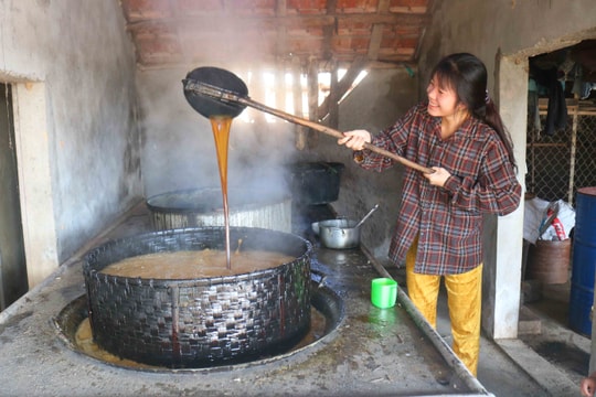 Vựa mật xứ Lường vào vụ Tết