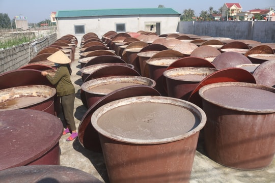 Ngư dân Quỳnh Lưu chuẩn bị hải sản phục vụ Tết Nguyên đán