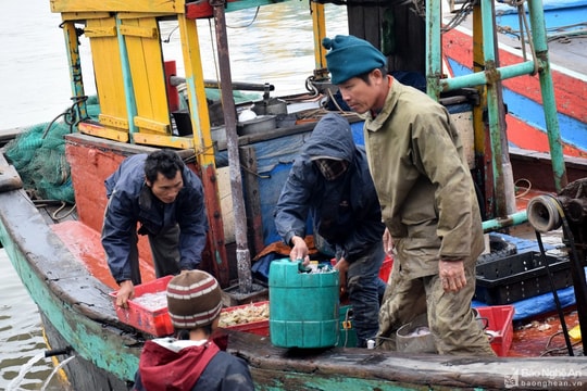 Nghệ An tiếp tục có rét đậm, rét hại và gió mạnh trên biển 