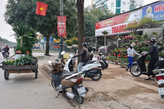 Thành phố Vinh khan hiếm mặt bằng cho thuê bán hoa, cây cảnh