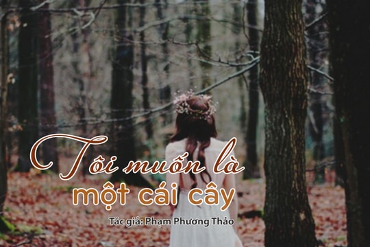Tản văn hay: Tôi muốn là một cái cây