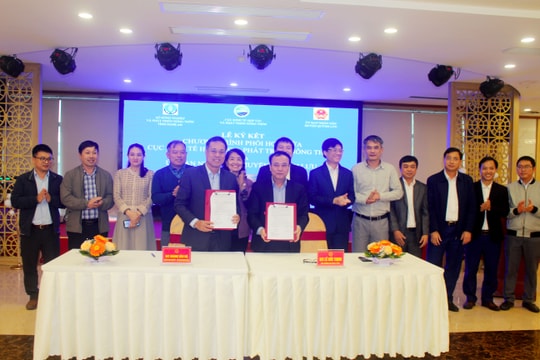 Diễn đàn thúc đẩy liên kết sản xuất, phát triển thị trường muối