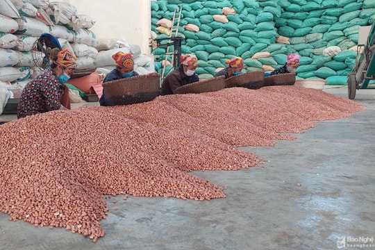 Hiệu quả từ phát triển sản phẩm OCOP ở Diễn Châu