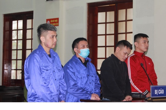 Nhóm ‘cẩu tặc’ dùng súng điện, xe tải đi trộm chó