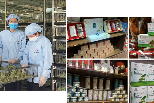 Nghệ An đứng thứ 2 cả nước về phát triển sản phẩm OCOP