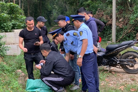 Tăng cường kiểm tra, kiểm soát thị trường dịp Tết Nguyên đán Quý Mão 2023