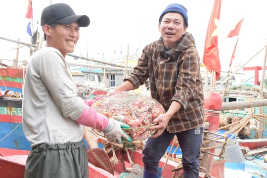 Nông dân Nghệ An thi đua sản xuất ngày đầu năm mới