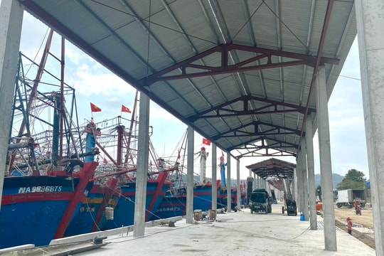 Đưa vào sử dụng cảng cá Lạch Quèn (Quỳnh Lưu) sau thời gian nâng cấp