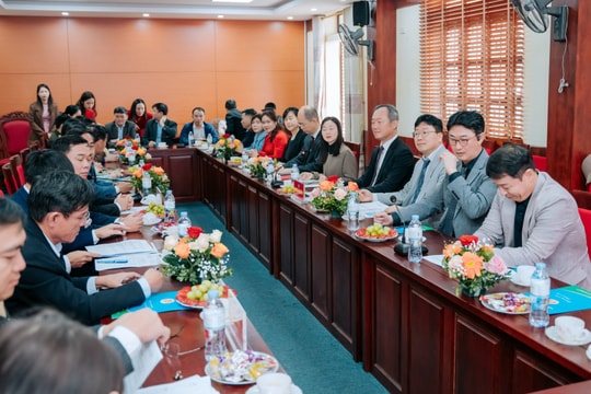 Đoàn công tác Trường Đại học Chosun (Hàn Quốc) thăm, làm việc tại Nghệ An