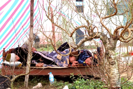 Chuyện những người buôn hoa Tết trên phố Vinh