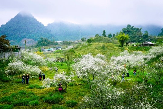 Những điểm du Xuân thú vị ở Nghệ An