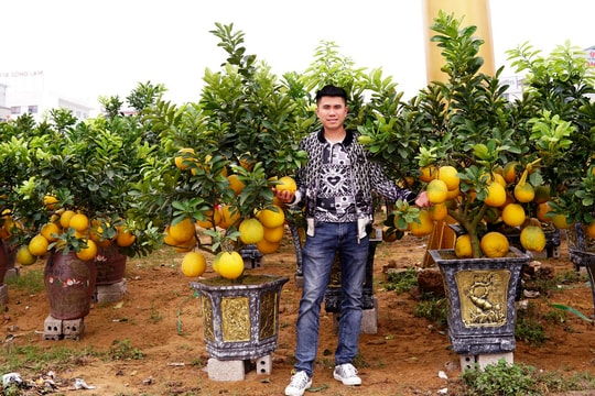 Bưởi Diễn Hoàng Quân sẵn sàng phục vụ người dân vui Tết