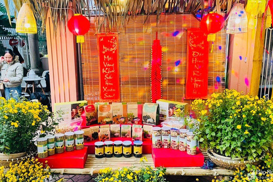 Tăng cường quảng bá, vận động tiêu dùng hàng Việt