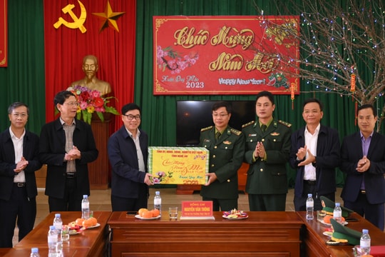 Phó Bí thư Thường trực Tỉnh ủy thăm, chúc Tết tại huyện Quỳnh Lưu và Hoàng Mai