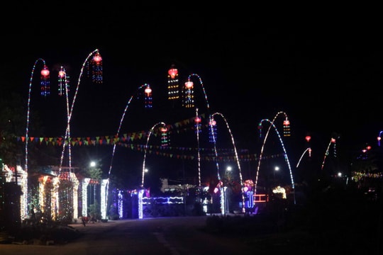 Chiêm ngưỡng những cung đường nêu đón Tết ở Nghệ An