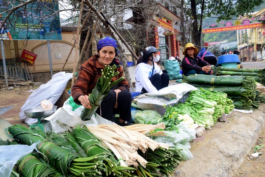 'Lộc rừng' xuôi phố đón Xuân