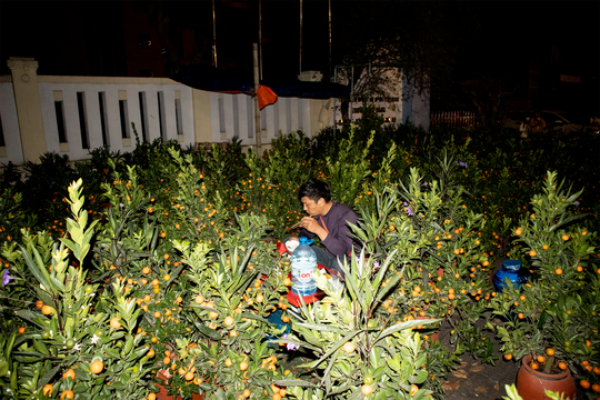 Góc Tết: Đêm rét mướt của những người mang Xuân về phố