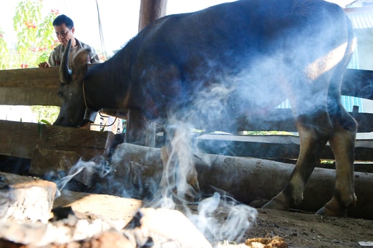 Nghệ An ứng phó với rét đậm, rét hại và gió mạnh trên biển dịp Tết Nguyên đán