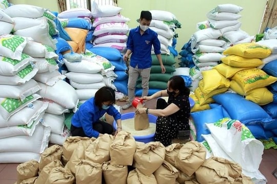 Nghệ An cấp phát hơn 1.300 tấn gạo cho người dân thiếu lương thực dịp Tết
